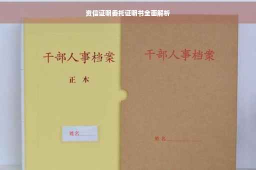 资信证明委托证明书全面解析