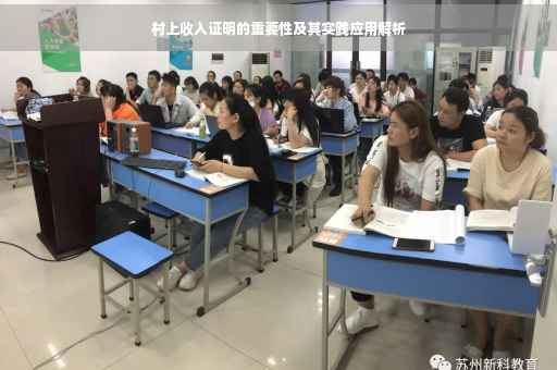 村上收入证明的重要性及其实践应用解析