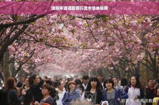 法院申请调取银行流水清单指南