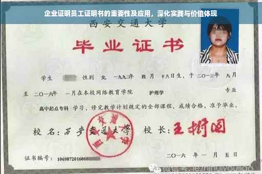 企业证明员工证明书的重要性及应用，深化实践与价值体现
