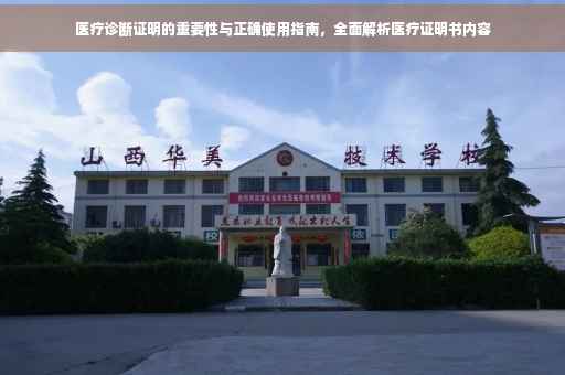 医疗诊断证明的重要性与正确使用指南，全面解析医疗证明书内容
