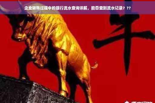 企业转账过程中的银行流水查询详解，能否查到流水记录？??