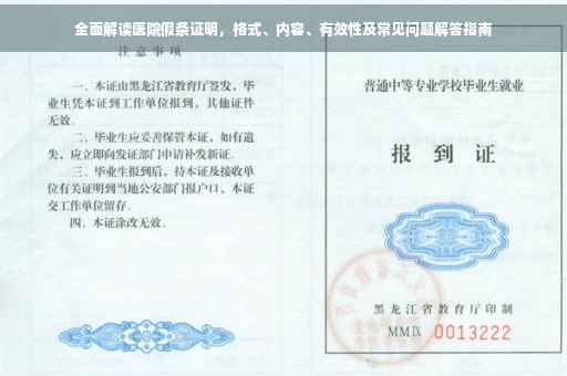 全面解读医院假条证明，格式、内容、有效性及常见问题解答指南
