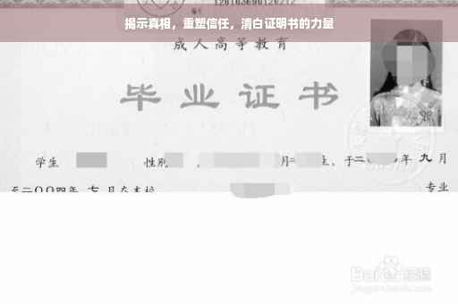 揭示真相，重塑信任，清白证明书的力量