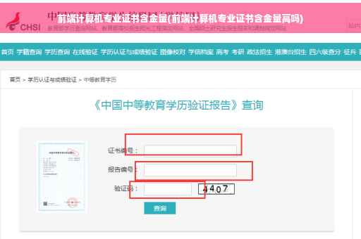 前端计算机专业证书含金量(前端计算机专业证书含金量高吗)