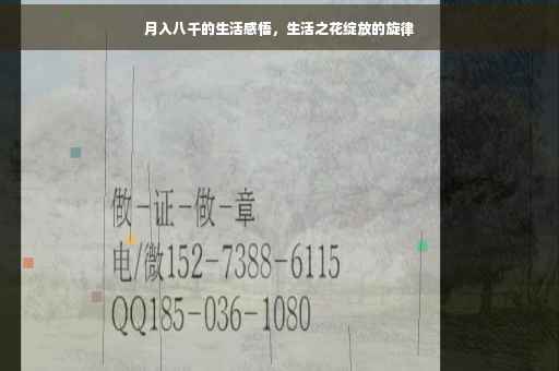月入八千的生活感悟，生活之花绽放的旋律