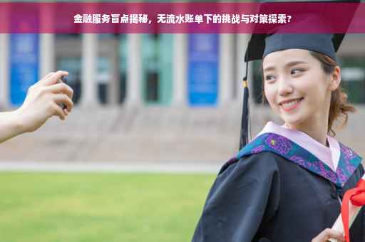金融服务盲点揭秘,无流水账单下的挑战与对策探索? 金融服务盲点揭秘,无流水账单下的挑战与对策探索?