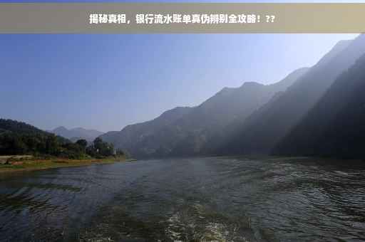 揭秘真相，银行流水账单真伪辨别全攻略！??