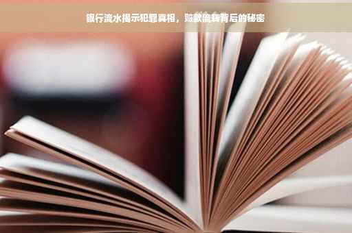 银行流水揭示犯罪真相，赃款流转背后的秘密