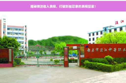 揭秘接济收入真相，打破刻板印象的真相探索！