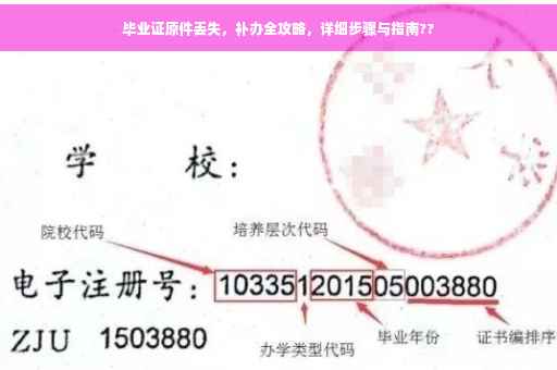 毕业证原件丢失，补办全攻略，详细步骤与指南??