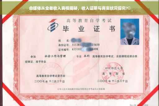 自媒体从业者收入真相揭秘，收入证明与真实状况探究?✨