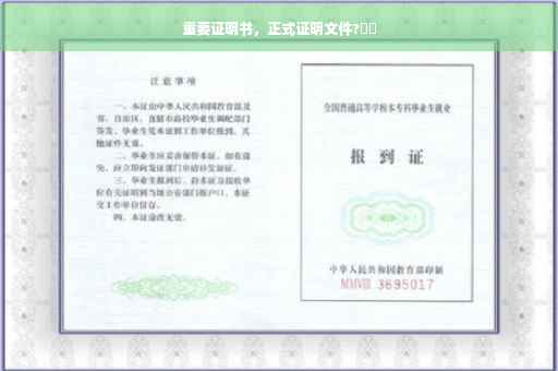 重要证明书,正式证明文件?⚡️ 重要证明书,正式证明文件?⚡️