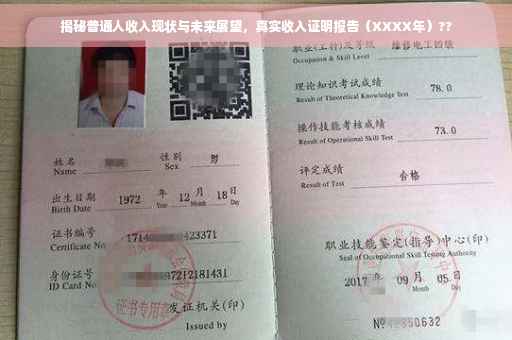 揭秘普通人收入现状与未来展望，真实收入证明报告（XXXX年）??