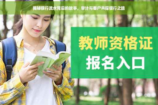 揭秘银行流水背后的故事，审计与客户共探银行之旅