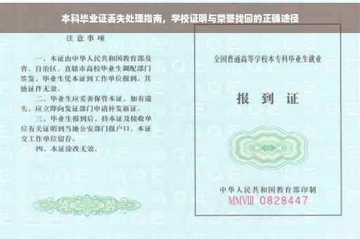 本科毕业证丢失处理指南，学校证明与荣誉找回的正确途径