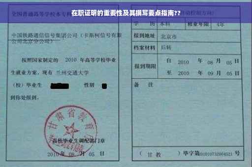 在职证明的重要性及其撰写要点指南??