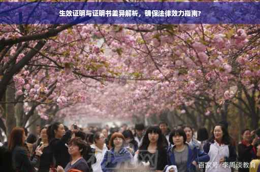 生效证明与证明书差异解析，确保法律效力指南?