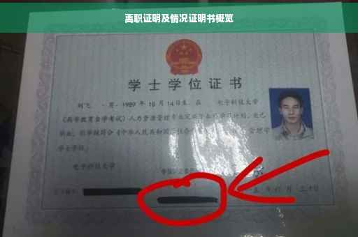 离职证明及情况证明书概览