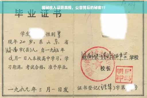 揭秘收入证明真相，公章背后的秘密??