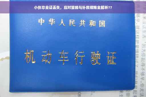 小伙毕业证丢失，应对策略与补救措施全解析??