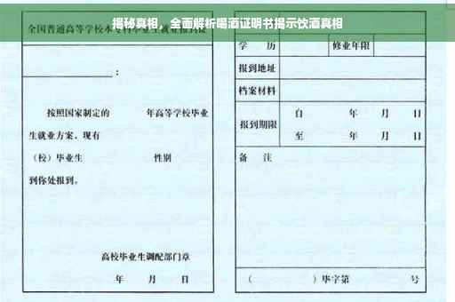 揭秘真相，全面解析喝酒证明书揭示饮酒真相