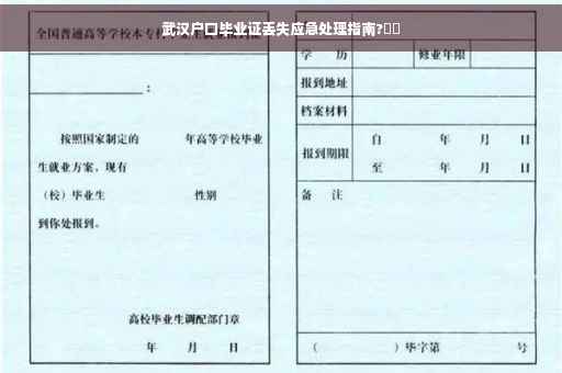 武汉户口毕业证丢失应急处理指南?⚡️