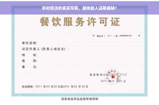 农村经济的真实写照，耕地收入证明揭秘?