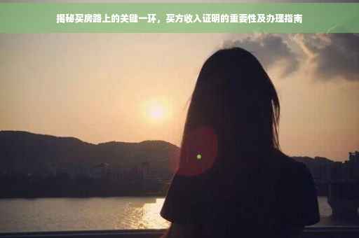 揭秘买房路上的关键一环，买方收入证明的重要性及办理指南