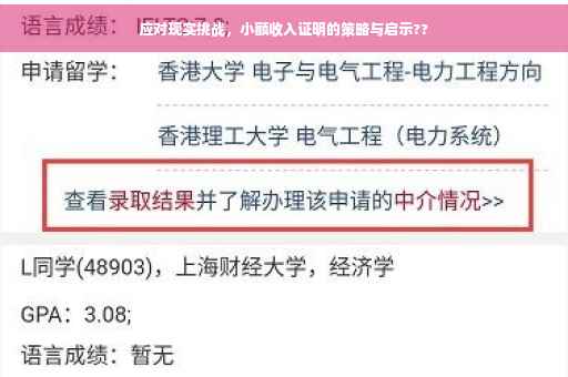 应对现实挑战，小额收入证明的策略与启示??