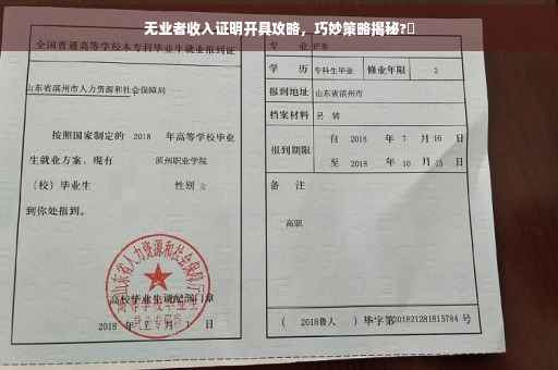 无业者收入证明开具攻略，巧妙策略揭秘?✨