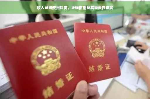 收入证明使用指南，正确使用及其重要性详解