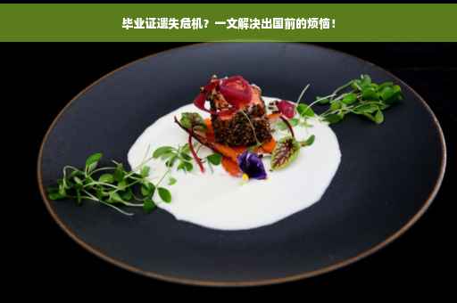 毕业证遗失危机？一文解决出国前的烦恼！