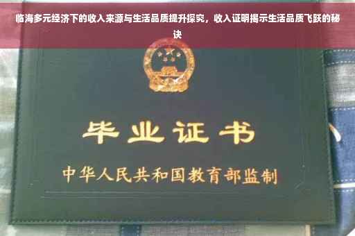 临海多元经济下的收入来源与生活品质提升探究，收入证明揭示生活品质飞跃的秘诀
