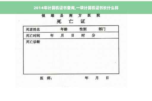 2014年计算机证书查询,一级计算机证书长什么样