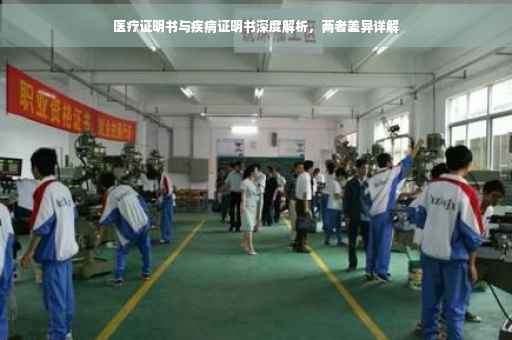 医疗证明书与疾病证明书深度解析，两者差异详解