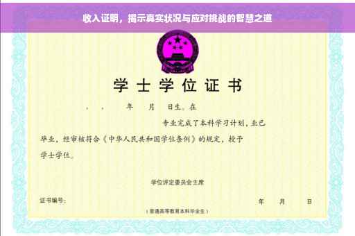 收入证明,揭示真实状况与应对挑战的智慧之道 收入证明,揭示真实状况与应对挑战的智慧之道