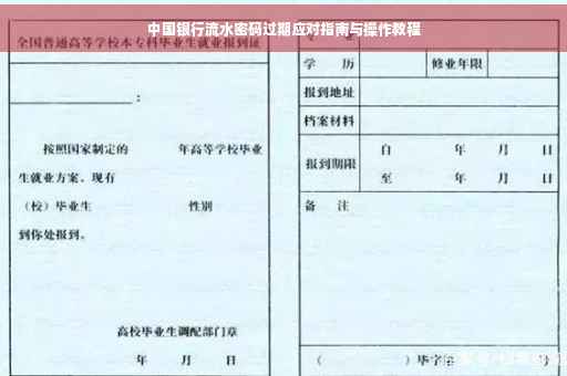 中国银行流水密码过期应对指南与操作教程