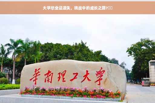 大学毕业证遗失，挑战中的成长之路?⚡️
