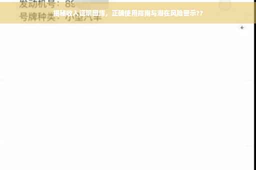 揭秘收入证明图库，正确使用指南与潜在风险警示??