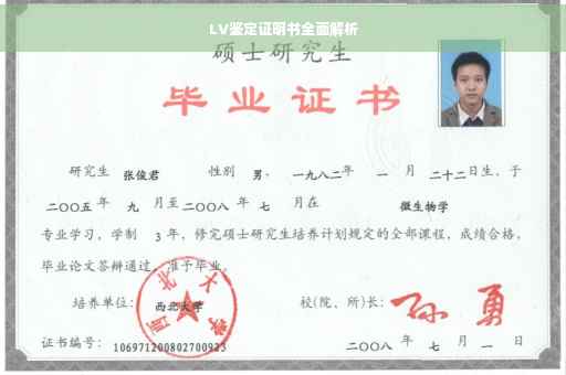 LV鉴定证明书全面解析
