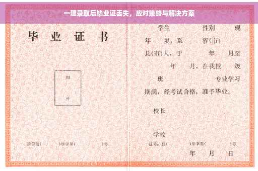一建录取后毕业证丢失，应对策略与解决方案