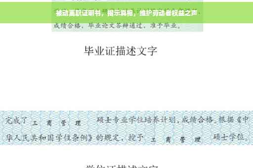 被动离职证明书，揭示真相，维护劳动者权益之声