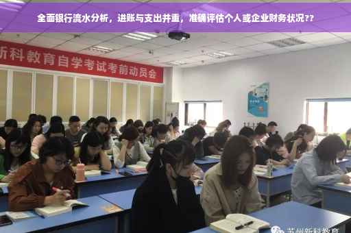 全面银行流水分析，进账与支出并重，准确评估个人或企业财务状况??