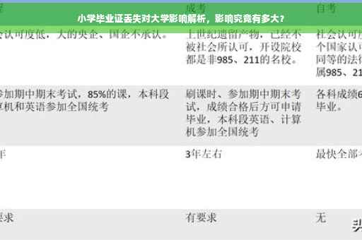 小学毕业证丢失对大学影响解析，影响究竟有多大？