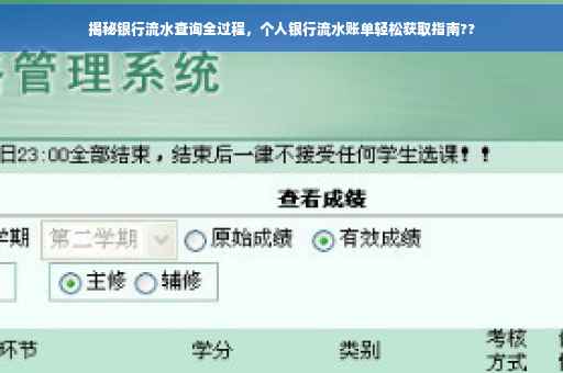 揭秘银行流水查询全过程，个人银行流水账单轻松获取指南??