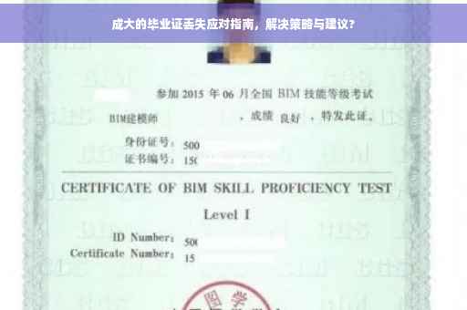 成大的毕业证丢失应对指南，解决策略与建议?