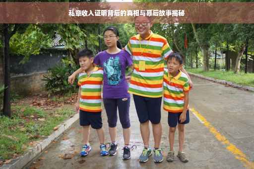 私章收入证明背后的真相与幕后故事揭秘