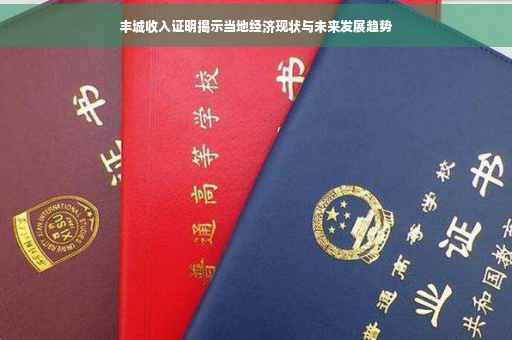 丰城收入证明揭示当地经济现状与未来发展趋势