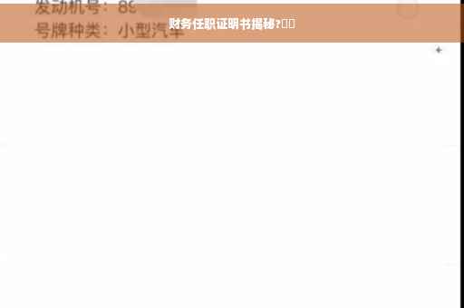 财务任职证明书揭秘?⚡️